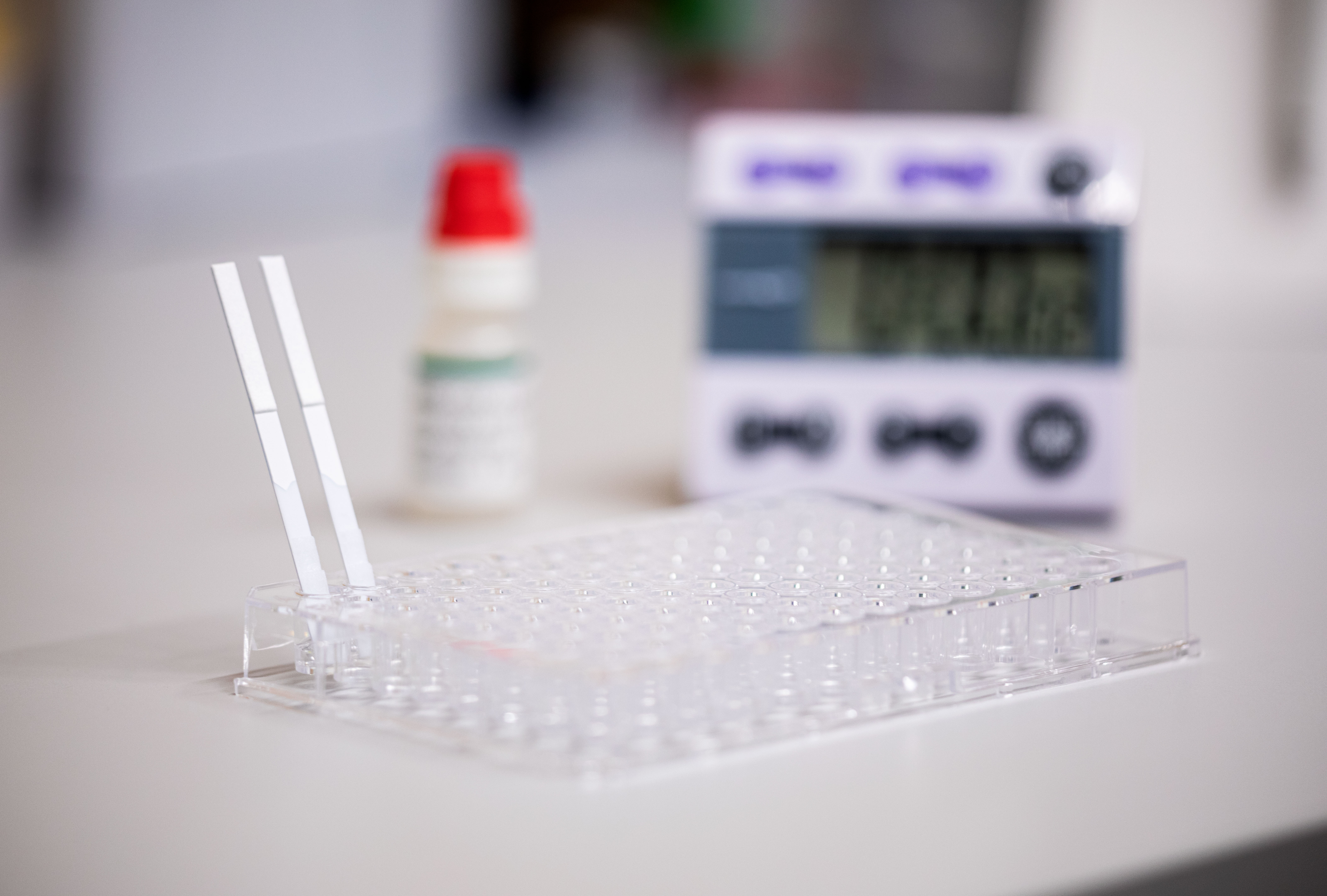 Strips for Lateral Flow Assay for biomarker detection