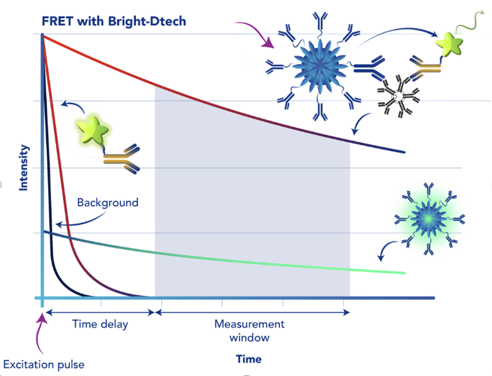 NoW-Dtech™ - TR-FRET Assay Kit </br>Mouse IgM - Image 3